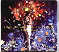 Tears For Fears - Woman In Chains